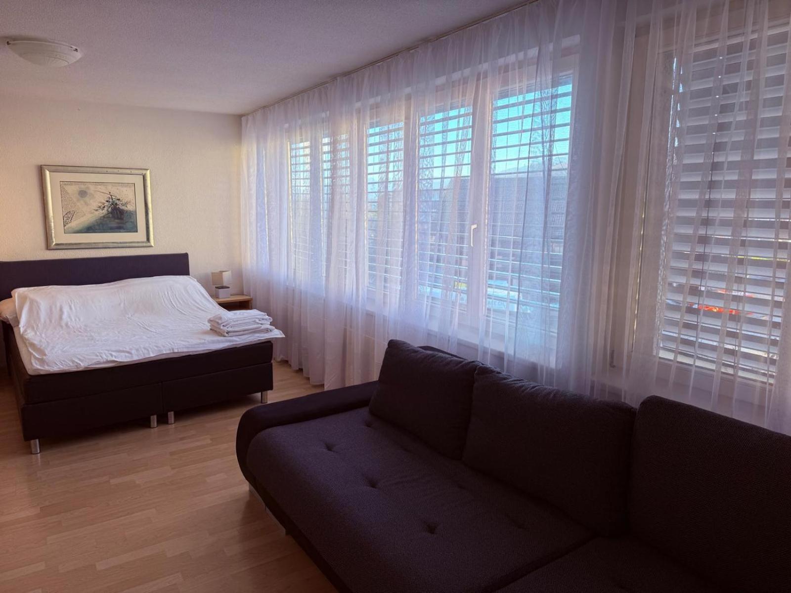 Sass Aparthotel Schönenwerd Exteriér fotografie